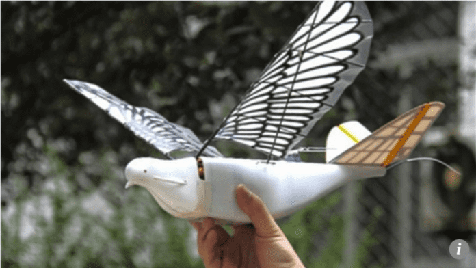 drones_Aves